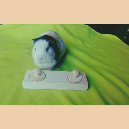 Double hole foraging toy